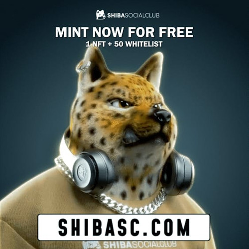 Shiba Social Club 1.jpg