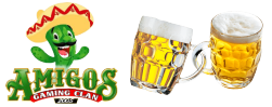Amigos Logo4.png