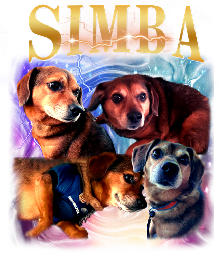 simba.png