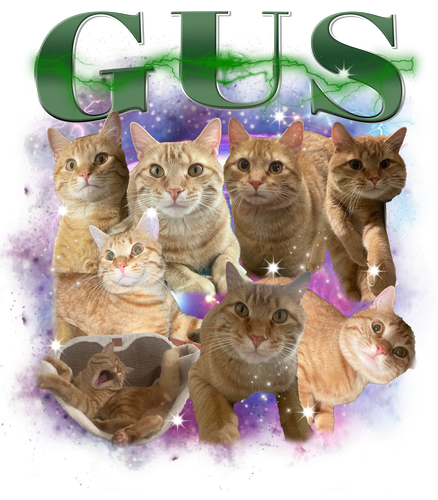 3146533038.png