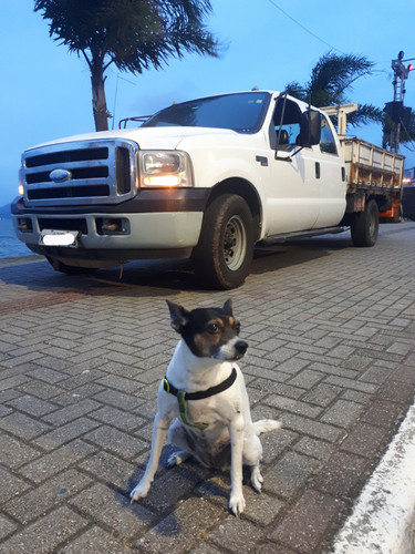 Ford F-350 de cabine dupla 2010-2011 e Vanessa