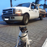 Ford F-350 de cabine dupla 2010-2011 e Vanessa