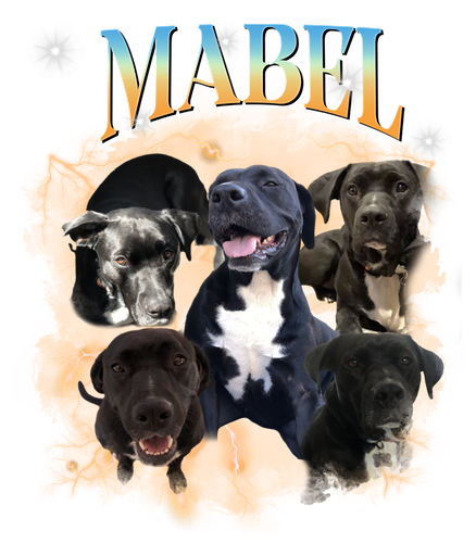 mabel.png