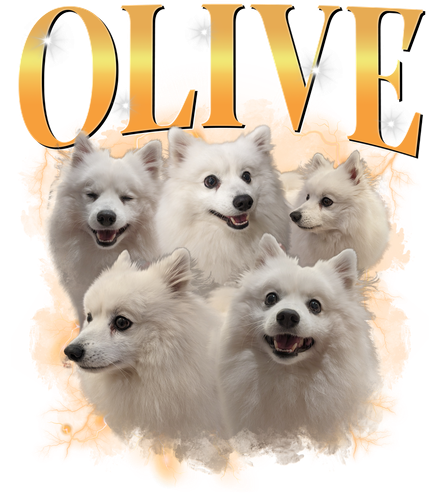 OLIVE 2.png