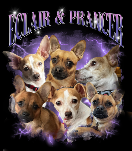 eclair and prancer.png