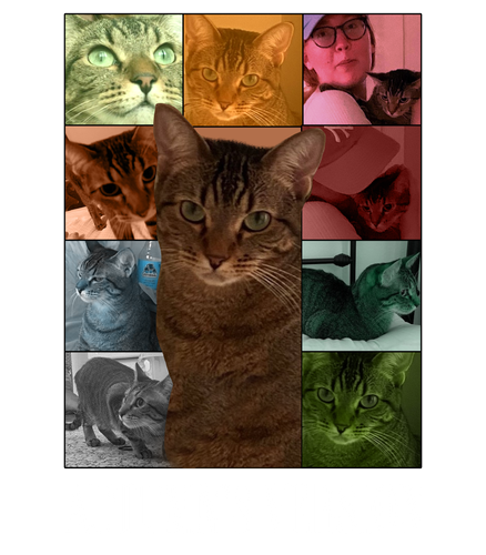 Autumn's Version.png