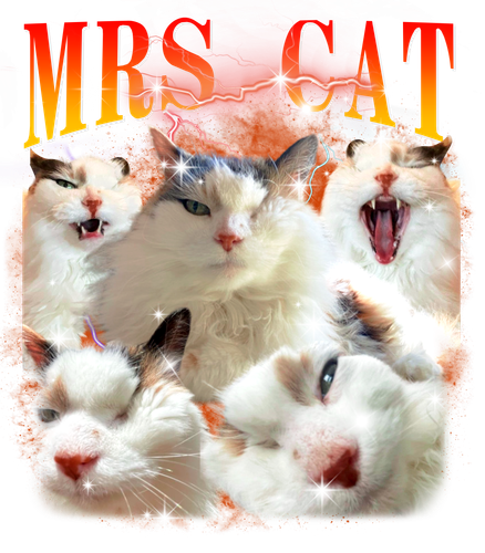 3140718390(mrs Cat) 3.png