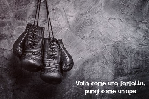 16f6f5f1517125093df3f813cedd0a64.png
