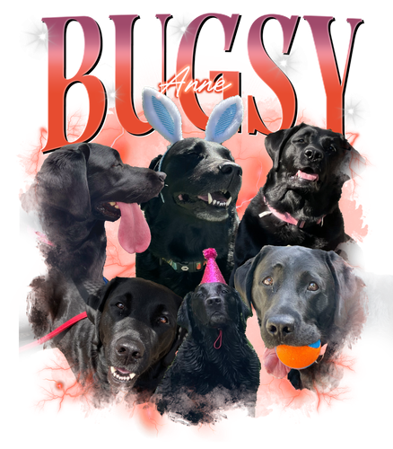 bugsy anne.png