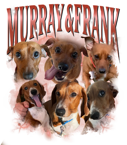 murray.png