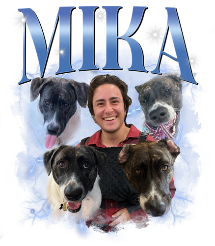 3121322409 fix 3.png