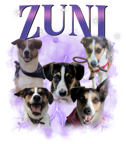 ZUNI1.png