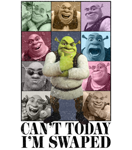 shrek era.png