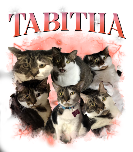 tabitha.png