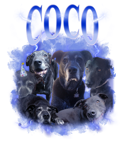 Coco.png