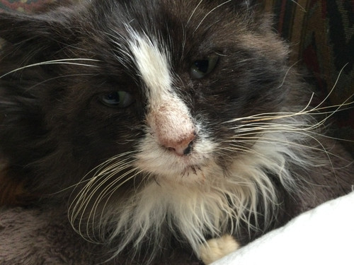 7C1E269D 46ED 4F16 AB78 10A5D6ADA498