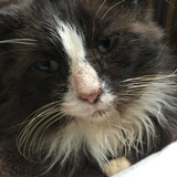 7C1E269D 46ED 4F16 AB78 10A5D6ADA498