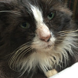 60015C8F 4186 4ADE 813C 62E8DDD1931A