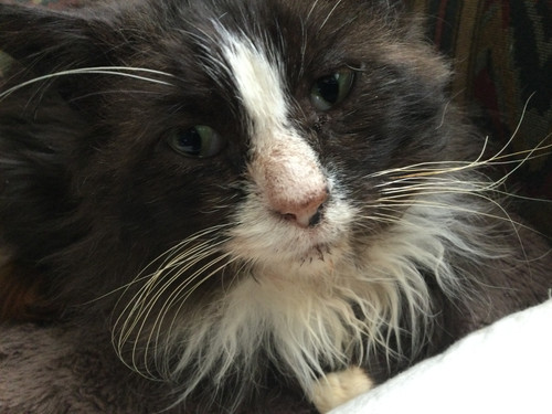 79D98969 9255 422A 99C3 04734E177670