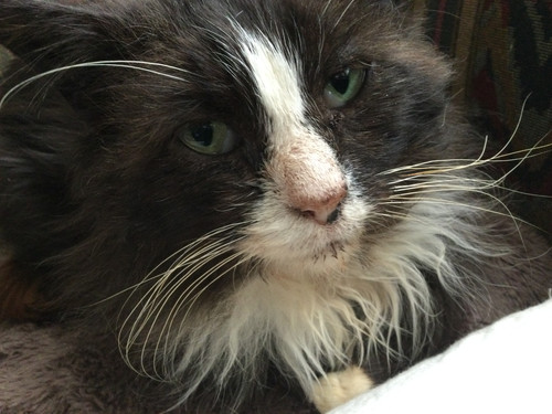 319673AE E636 4B43 B04A DA17F0FDEB18