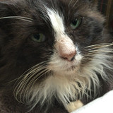 319673AE E636 4B43 B04A DA17F0FDEB18