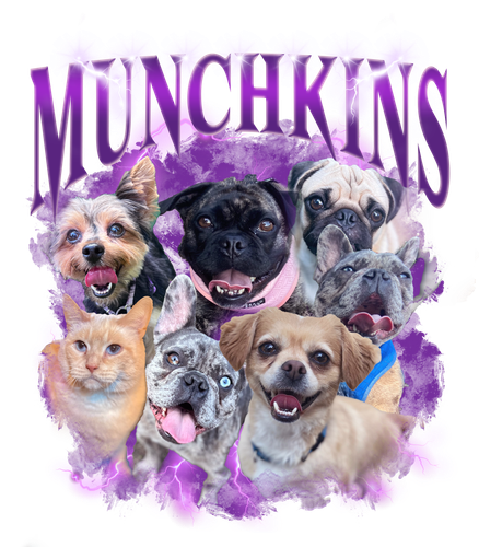 Munchkins.png