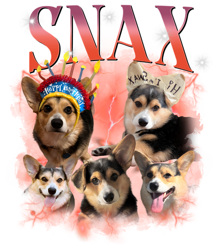 SNAX 1.png