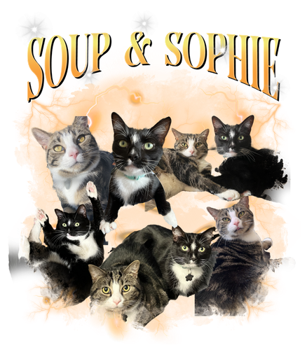 soup and sophy.png