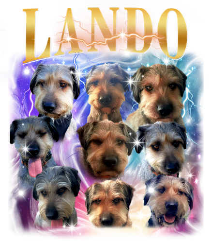 Lando.png