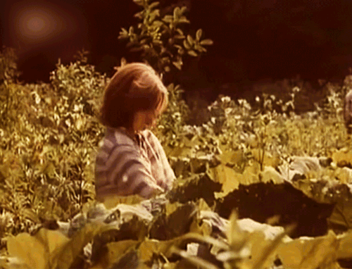 Dana Bartunkova1 Skleníková Venuša(1985).gif