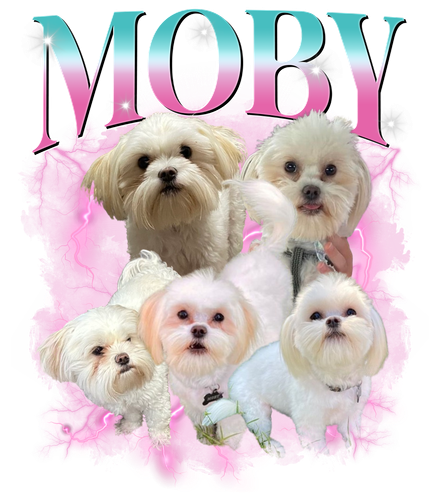 Moby 10.png