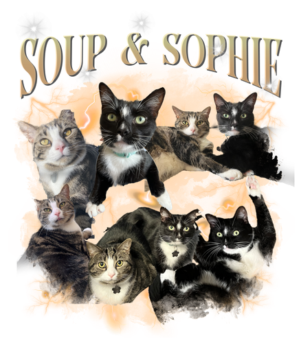 soup and sophie.png