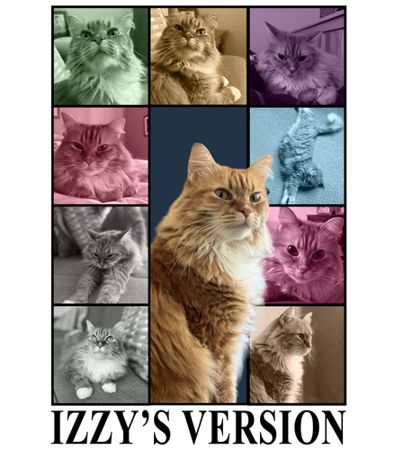Izzy’s Version (4200x4800).png