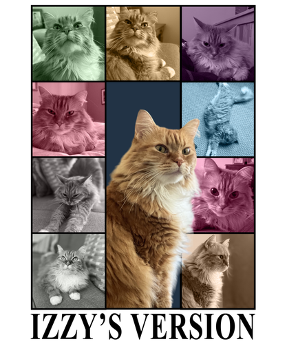 Izzy’s Version.png
