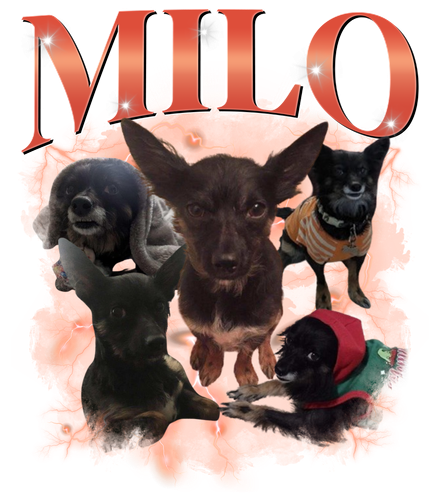 Milo 5.png