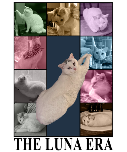 The Luna Era.png