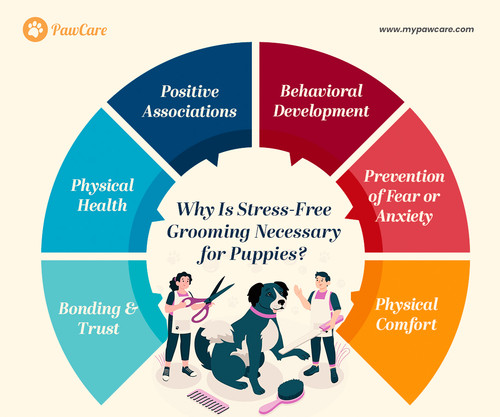 Why Is Stress Free Grooming Necessary for Puppies.jpg