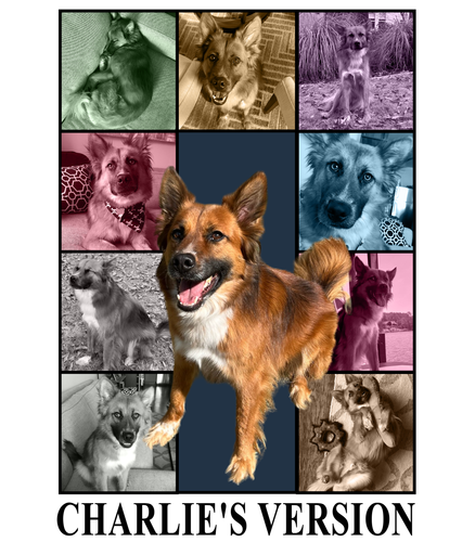 Charlie's Version (4200x4800).png