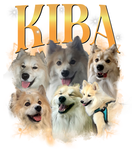 KIBA.png
