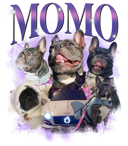 Momo.png