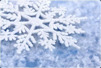 winter beauty main.webp