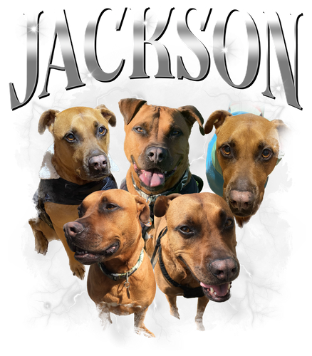 Jackson 8 1.png