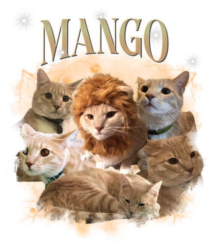 MANGO.png