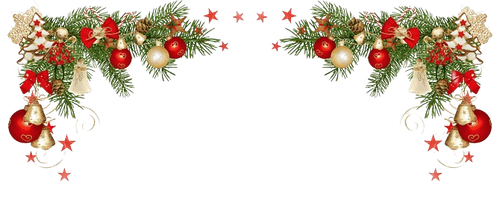 image removebg preview(17).png