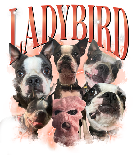 ladybird.png