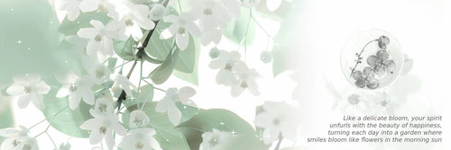 haerin header.jpg