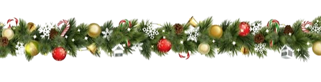 image removebg preview(21).png