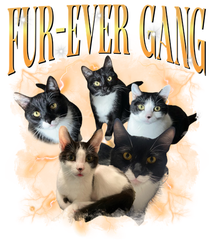 FUR EVER GANG.png