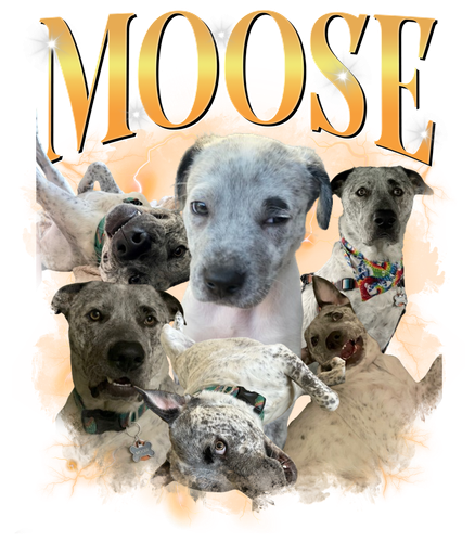Moose.png