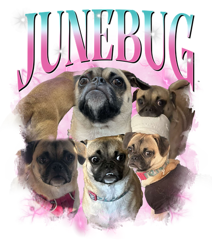 JUNEBUG.png